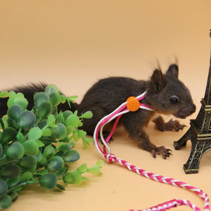 1.4M 2.0M Adjustable Pet Hamster Leash Harness Rope Gerbil Cotton Rope Harness Lead Collar for Rat Mouse Hamster Pet Cage Leash