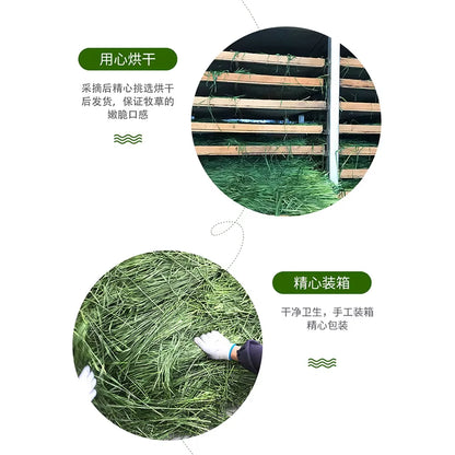 Fresh Dried Timothy FCL Hay Snacks Feed Chinchilla Guinea Pig Food Rabbits Pet Products Farm Animal Supplies Bunny Accessories