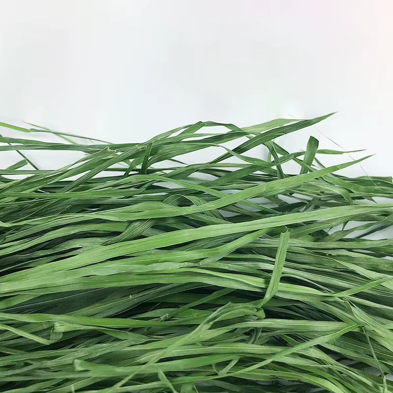 Fresh Dried Timothy FCL Hay Snacks Feed Chinchilla Guinea Pig Food Rabbits Pet Products Farm Animal Supplies Bunny Accessories
