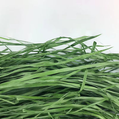 Fresh Dried Timothy FCL Hay Snacks Feed Chinchilla Guinea Pig Food Rabbits Pet Products Farm Animal Supplies Bunny Accessories